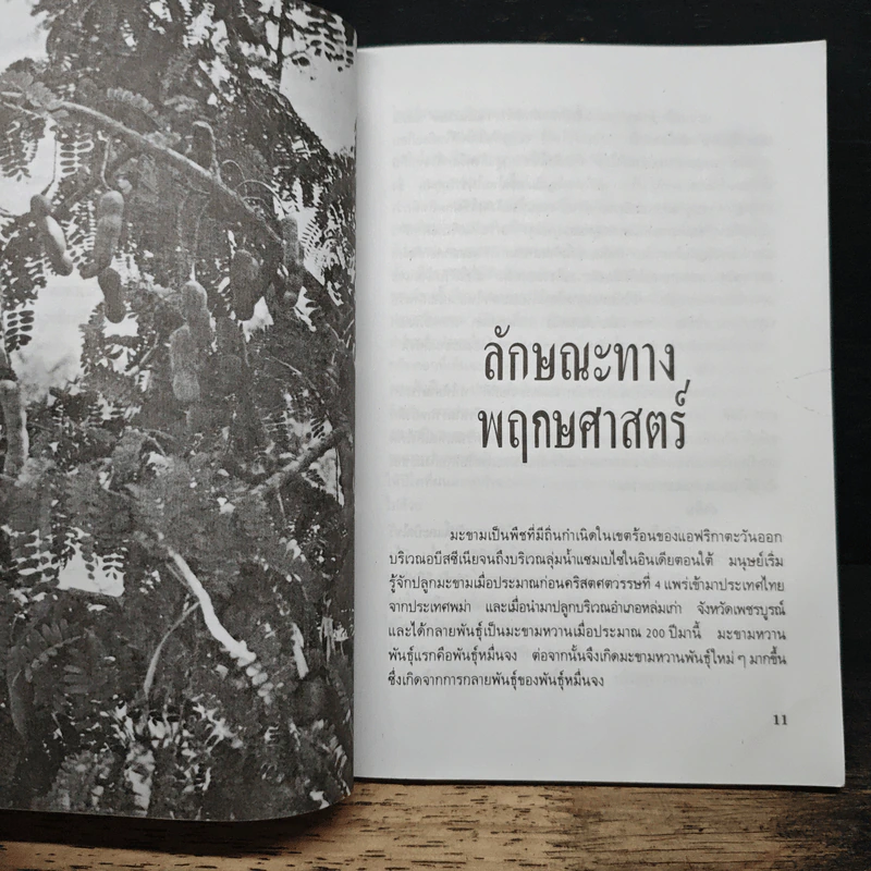 คู่มือมะขามหวาน - กนก ชวนานนท์ รูปที่ 7