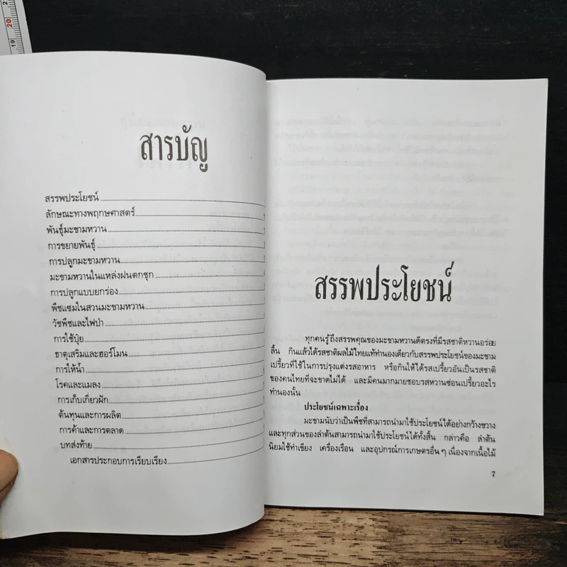 คู่มือมะขามหวาน - กนก ชวนานนท์ รูปที่ 6