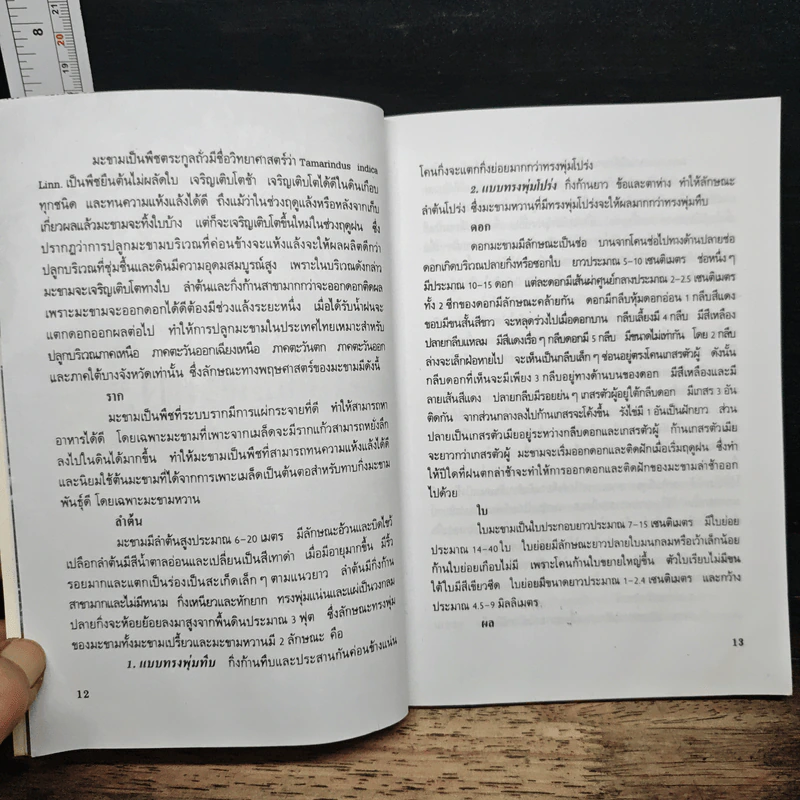 คู่มือมะขามหวาน - กนก ชวนานนท์ รูปที่ 8