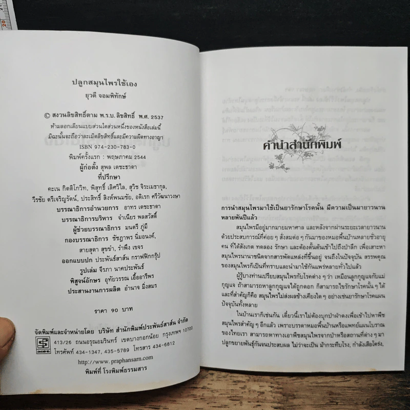 ปลูกสมุนไพรใช้เอง - ยุวดี จอมพิทักษ์ รูปที่ 6