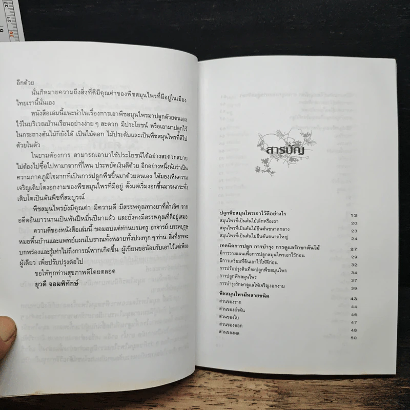 ปลูกสมุนไพรใช้เอง - ยุวดี จอมพิทักษ์ รูปที่ 7