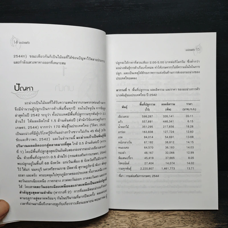 มะม่วงแก้ว - ธวัชชัย รัตนชเลศ รูปที่ 9