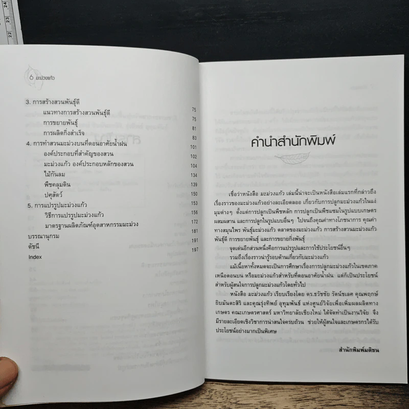 มะม่วงแก้ว - ธวัชชัย รัตนชเลศ รูปที่ 7