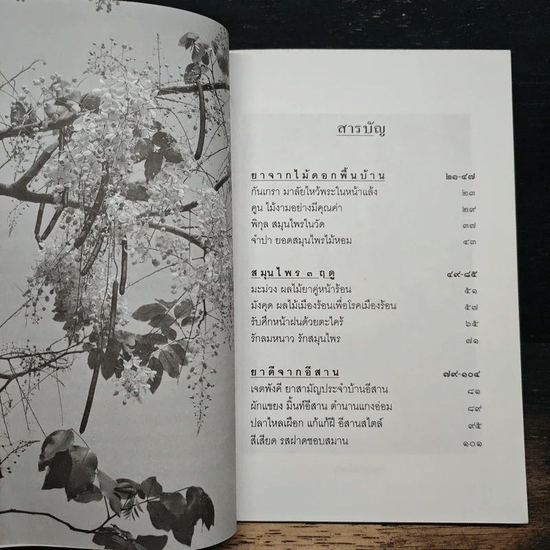 สุขภาพดีด้วยสมุนไพรใกล้ตัว ชุด 9 รูปที่ 7