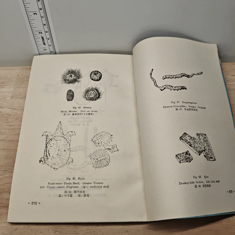 English-Chinese Rare Chinese Materia Medica รูปที่ 8