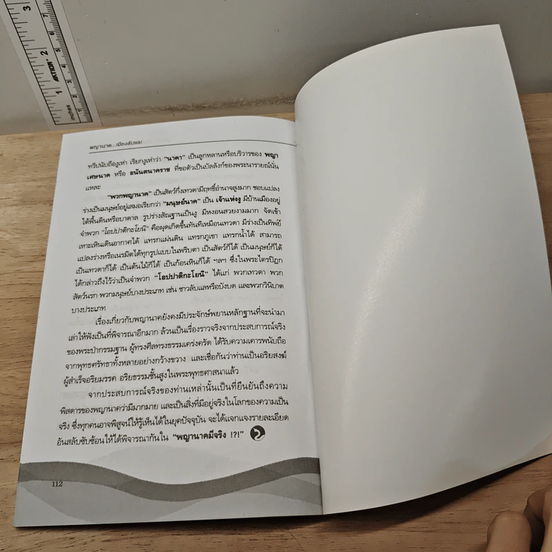 พญานาค...เมืองลับแล! - นรเศรษฐ์ รูปที่ 10