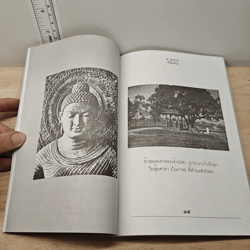 พระปชาบดีโคตมีเถรี ภิกษุณีองค์แรกในพุทธศาสนา - พ.สุวรรณ รูปที่ 8