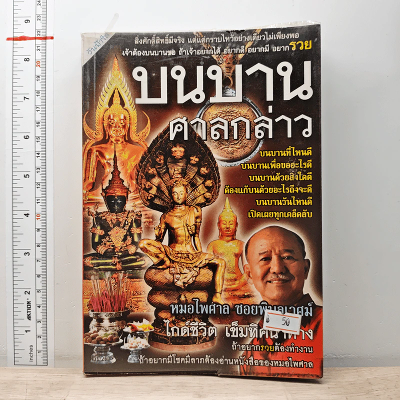 บนบานศาลกล่าว - หมอไพศาล ซอยพิบูลเวศม์ รูปที่ 1