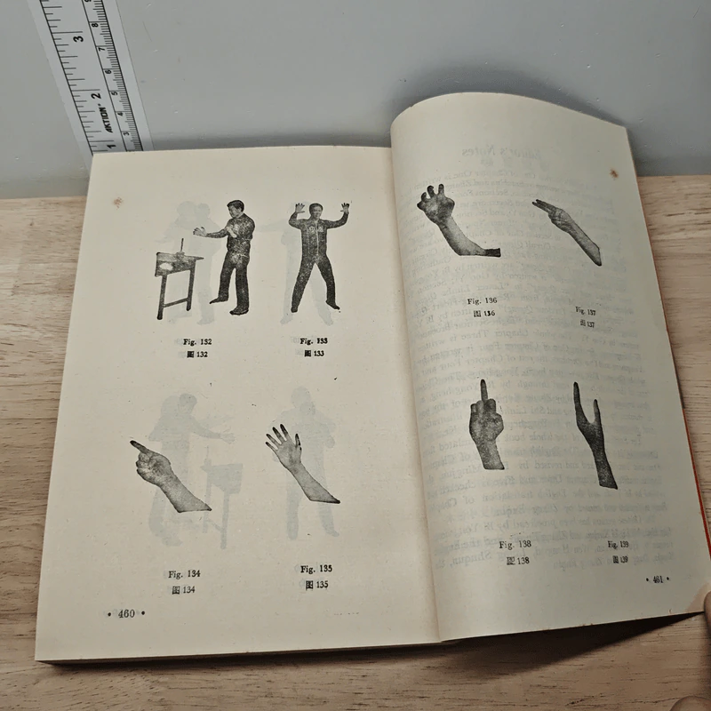 Chinese Qigong รูปที่ 8
