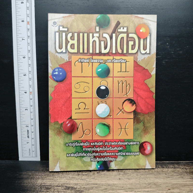 นัยแห่งเดือน - คำทิพย์ ไชยธรรม รูปที่ 1