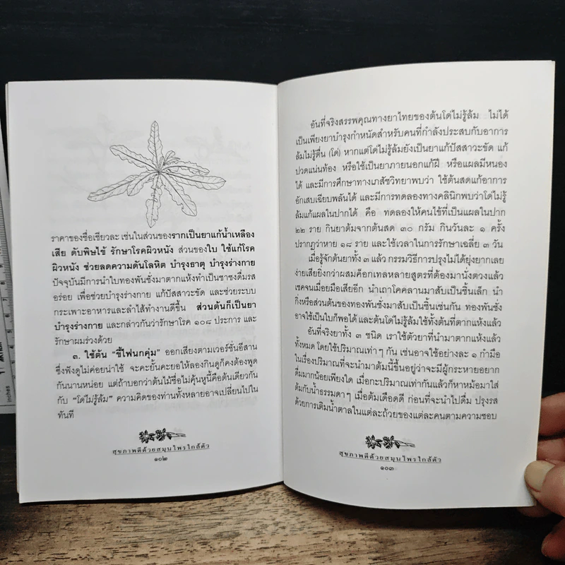 สุขภาพดีด้วยสมุนไพรใกล้ตัว ชุด 10 รูปที่ 9