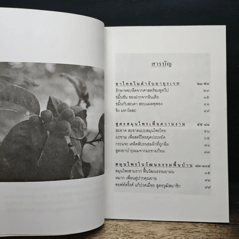 สุขภาพดีด้วยสมุนไพรใกล้ตัว ชุด 10 รูปที่ 7
