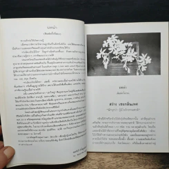 ทำเนียบกล้วยไม้ไทย รูปที่ 7