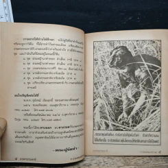 เกษตรธรรมชาติ ทางรอดของชาวนา - คำเมือง ภาษี รูปที่ 7