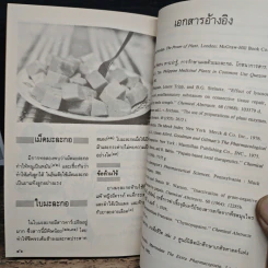 มะละกอ รูปที่ 8