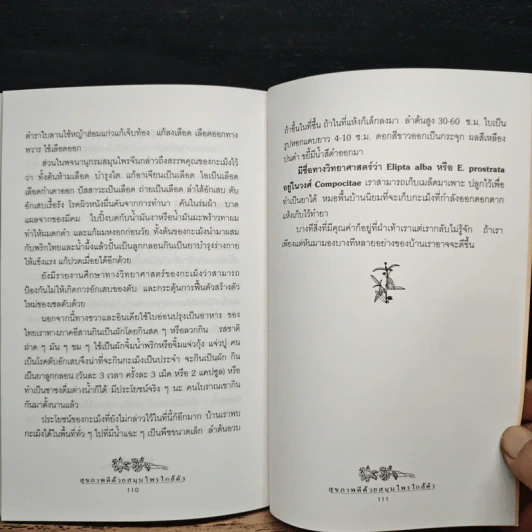 สุขภาพดีด้วยสมุนไพรใกล้ตัว ชุด 1 รูปที่ 10