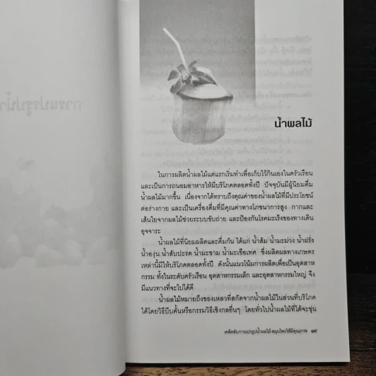 เคล็ดลับการแปรรูป น้ำผลไม้-สมุนไพร ให้มีคุณภาพ - เชษฐา ใจใส รูปที่ 8