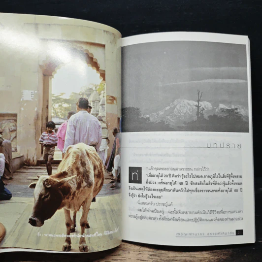 เผชิญเผ่านาคาปลายฟ้าหิมาลัย - บุญยงค์ เกศเทศ รูปที่ 8