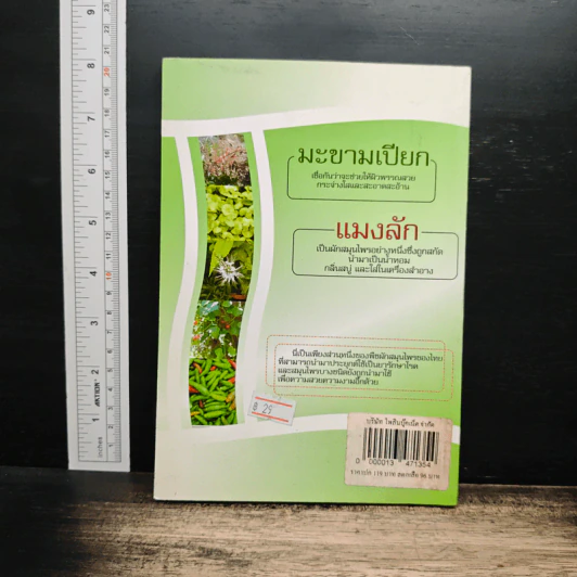 ปลอดโรคภัย สวยได้ ด้วยสมุนไพรสด - เอื้อง พลอยจำปา รูปที่ 2