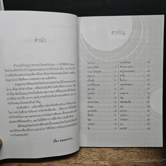 ปลอดโรคภัย สวยได้ ด้วยสมุนไพรสด - เอื้อง พลอยจำปา รูปที่ 7