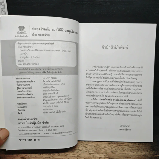 ปลอดโรคภัย สวยได้ ด้วยสมุนไพรสด - เอื้อง พลอยจำปา รูปที่ 6