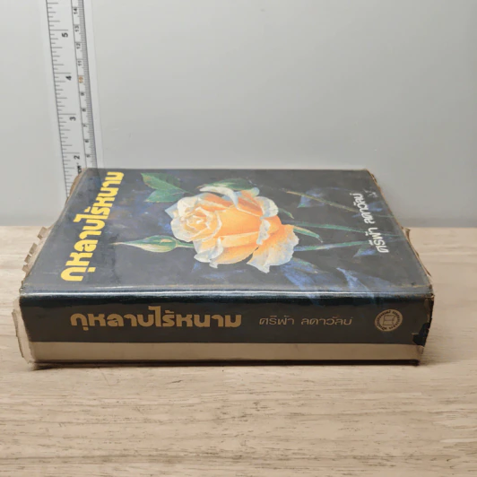 กุหลาบไร้หนาม - ศรีฟ้า ลดาวัลย์ รูปที่ 4