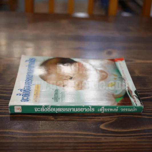 จะตั้งชื่อบุตรหลานอย่างไร ฉบับแก้ไขปรับปรุง - เสรียรพงษ์ วรรณปก รูปที่ 2