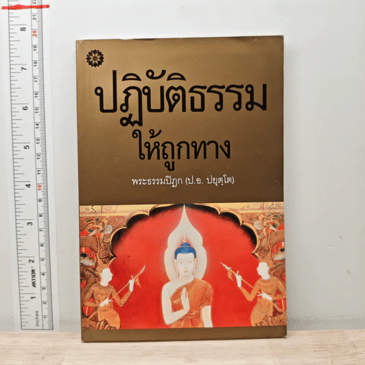 ปฏิบัติธรรมให้ถูกทาง - พระธรรมปิฎก (ป.อ. ปยุตฺโต) รูปที่ 1