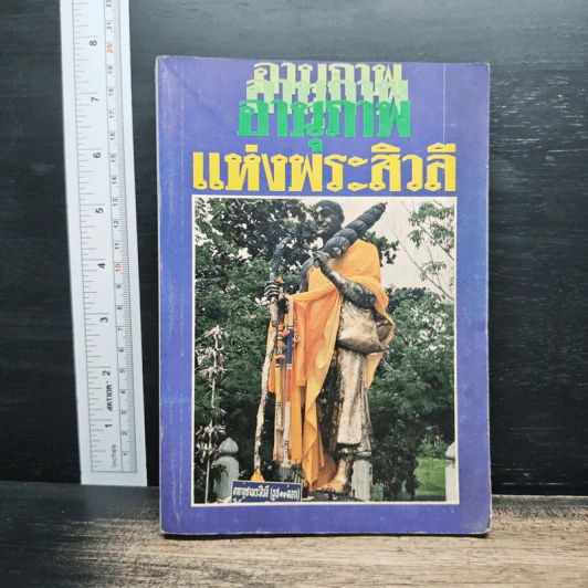 อานุภาพแห่งพระสิวลี รูปที่ 1