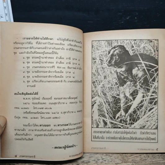 เกษตรธรรมชาติ ทางรอดของชาวนา - คำเมือง ภาษี รูปที่ 7