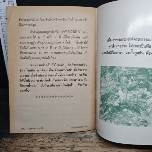 เกษตรธรรมชาติ ทางรอดของชาวนา - คำเมือง ภาษี รูปที่ 10