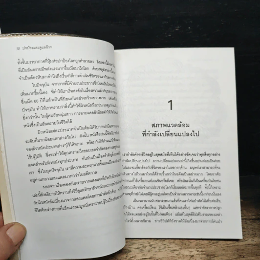 ปกป้องและดูแลผิวคุณให้พ้นอันตรายจากแสงแดด - เรณู สุเสวี รูปที่ 10
