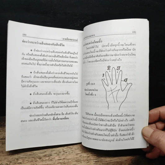 ลายมือพยากรณ์ - ญาณทิพย์ รูปที่ 9