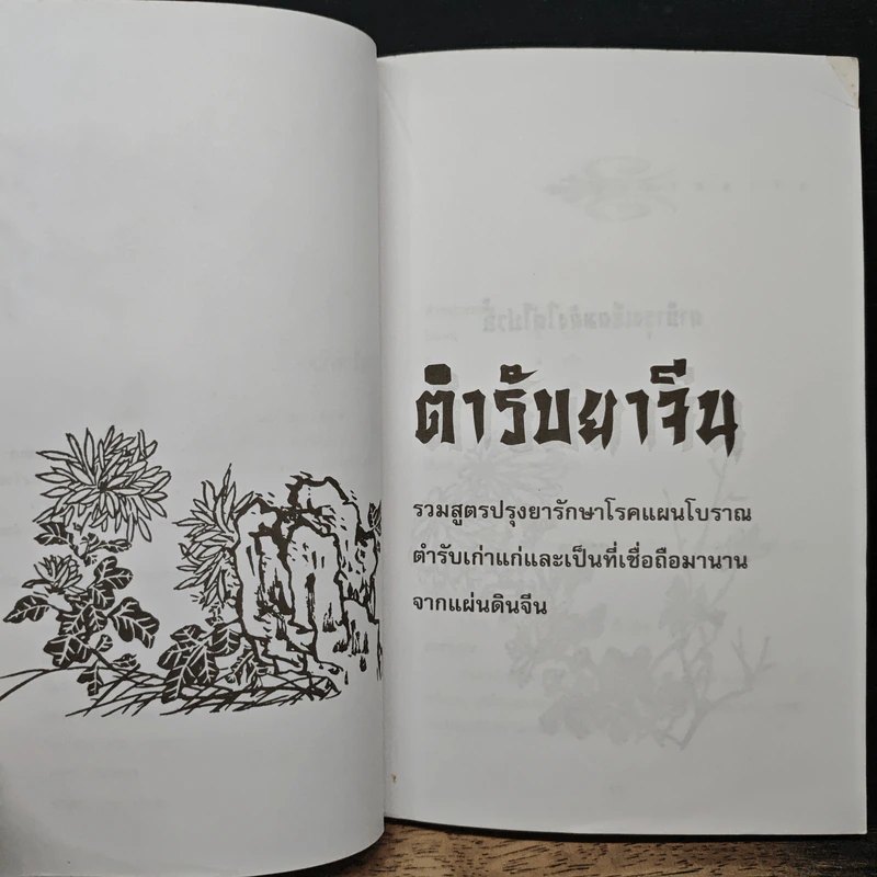ตำรับยาจีน รูปที่ 7