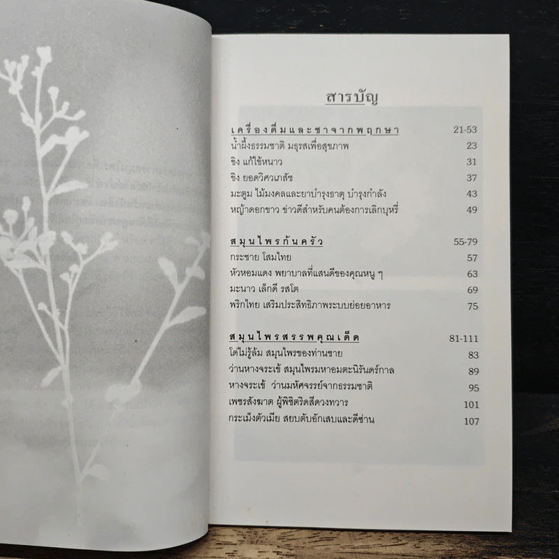 สุขภาพดีด้วยสมุนไพรใกล้ตัว ชุด 1 รูปที่ 7