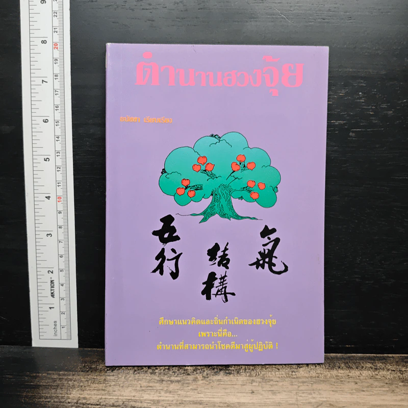 ตำนานฮวงจุ้ย - ธนัชชา รูปที่ 1