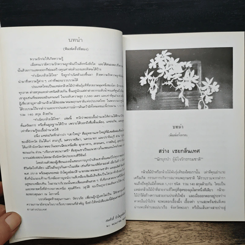 ทำเนียบกล้วยไม้ไทย รูปที่ 7