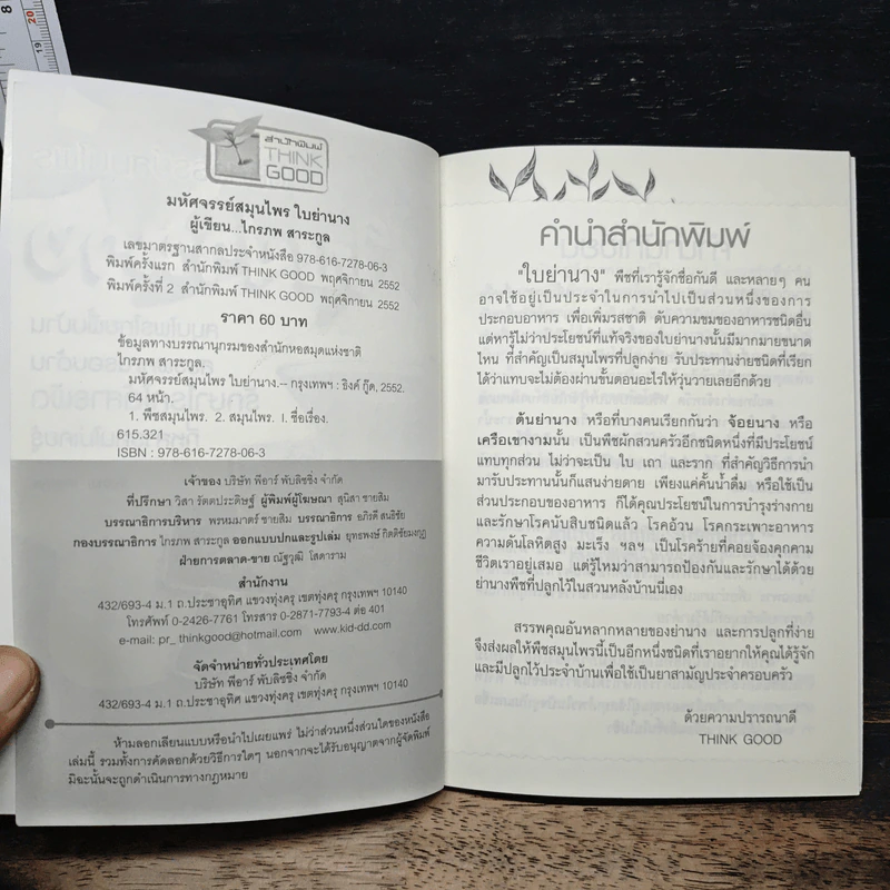 มหัศจรรย์สมุนไพร ใบย่านาง รูปที่ 6