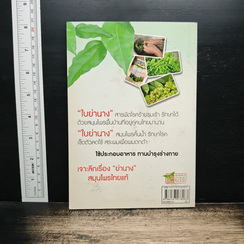 มหัศจรรย์สมุนไพร ใบย่านาง รูปที่ 2