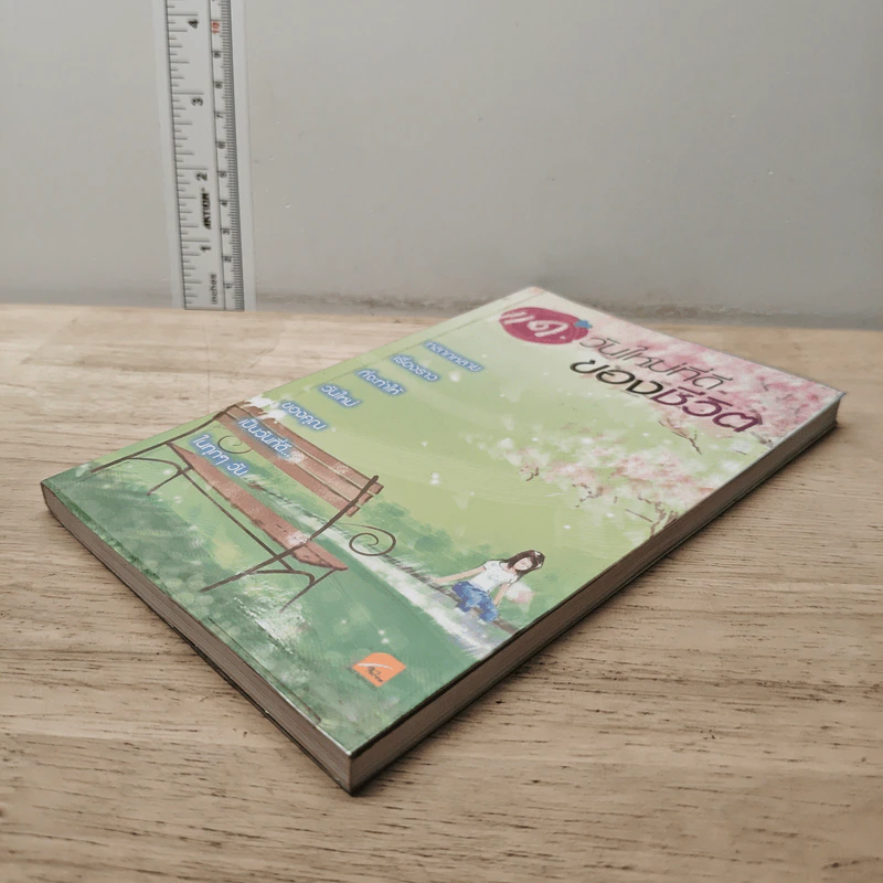 แด่...วันใหม่ที่ดีของชีวิต รูปที่ 3