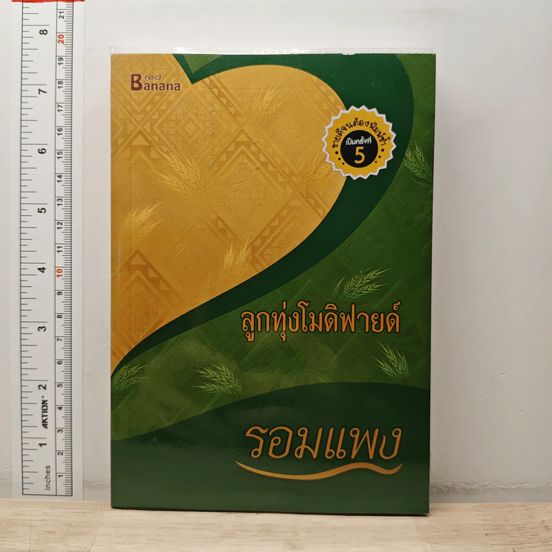 ลูกทุ่งโมดิฟายด์ - รอมแพง รูปที่ 1