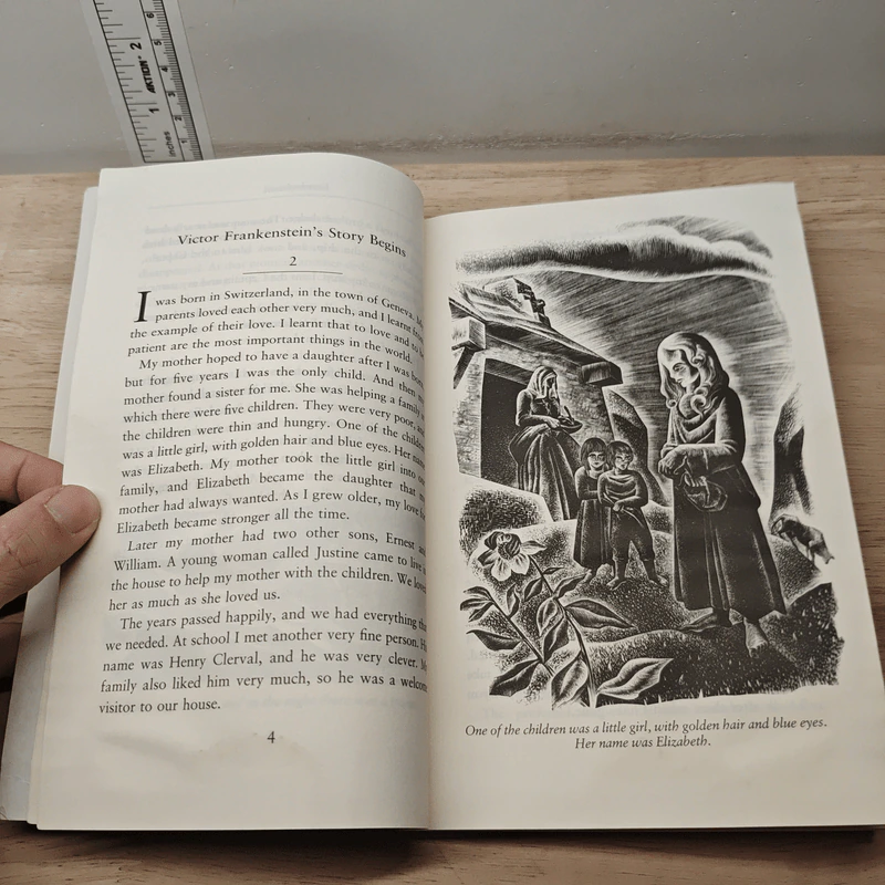 Frankenstein - Mary Shelley รูปที่ 8