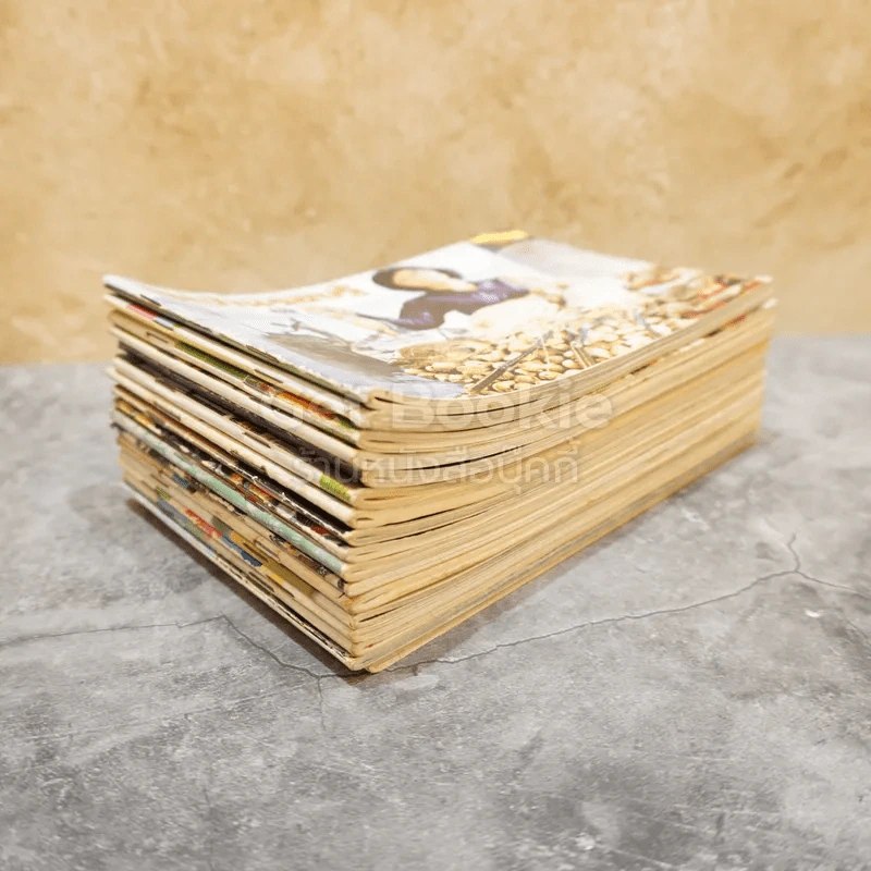คู่มือชมรายการ แม่บ้านที่รัก 17 เล่ม รูปที่ 4