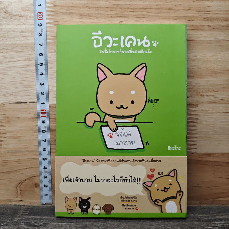 อีวะเคน วันนี้เจ้านายก็นอนตื่นสายอีกแล้ว - อิมะโกะ รูปที่ 1