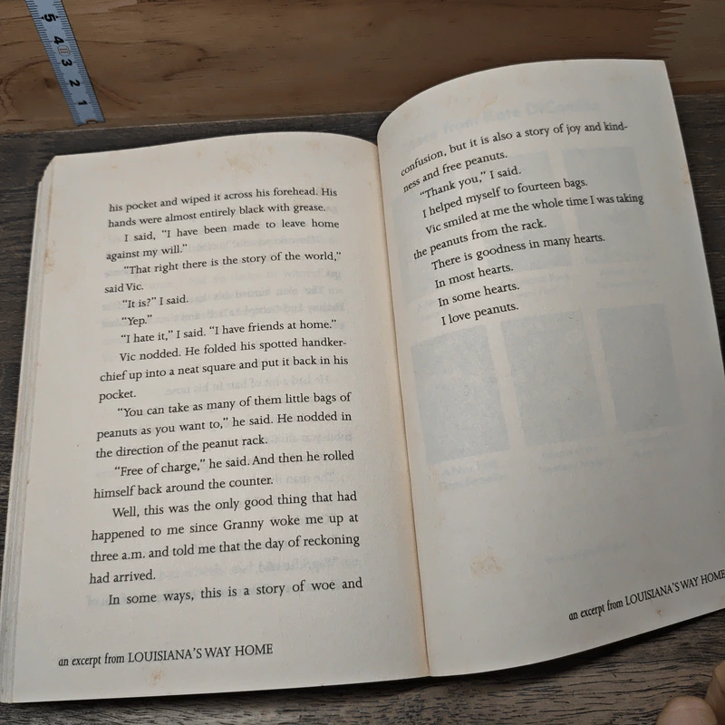 The Miraculous Journey of Edward Tulane - Kate DiCamillo รูปที่ 8