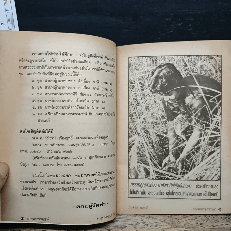 เกษตรธรรมชาติ ทางรอดของชาวนา - คำเมือง ภาษี รูปที่ 7
