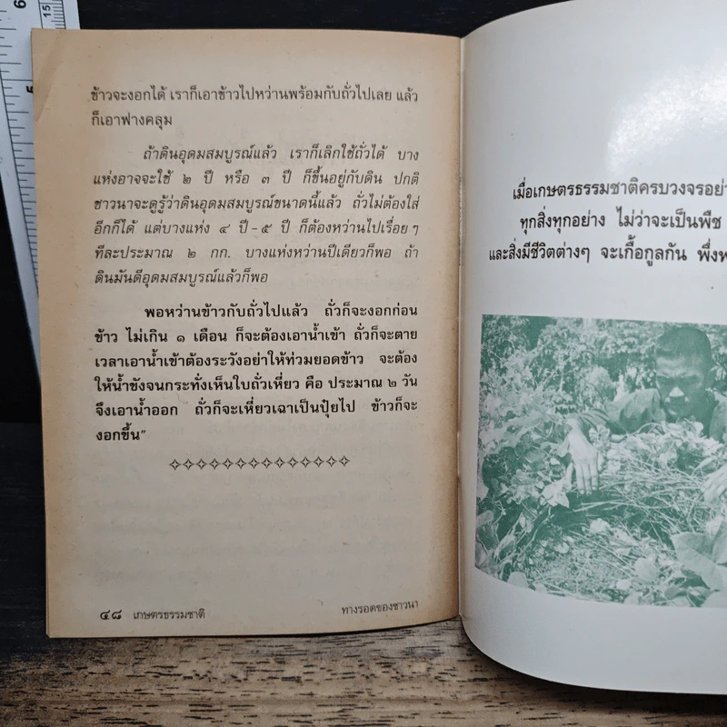 เกษตรธรรมชาติ ทางรอดของชาวนา - คำเมือง ภาษี รูปที่ 10