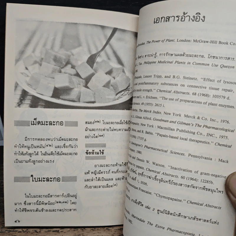 มะละกอ รูปที่ 8