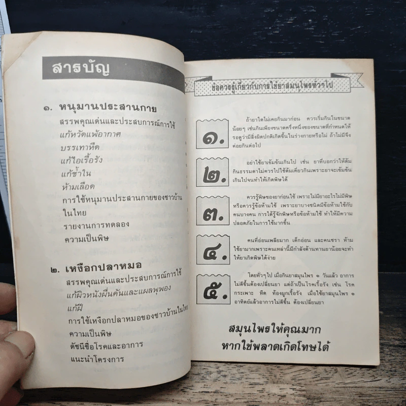 ต้นไม้ยา ชุดที่ 1 สมุนไพรแก้แพ้ รูปที่ 7