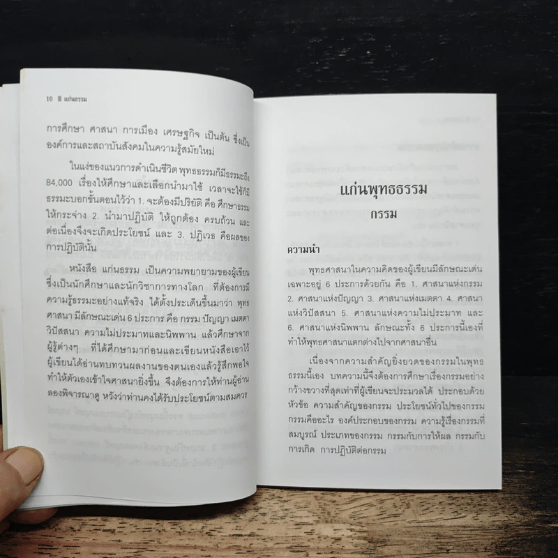 แก่นธรรม - สัญญา สัญญาวิวัฒน์ รูปที่ 9